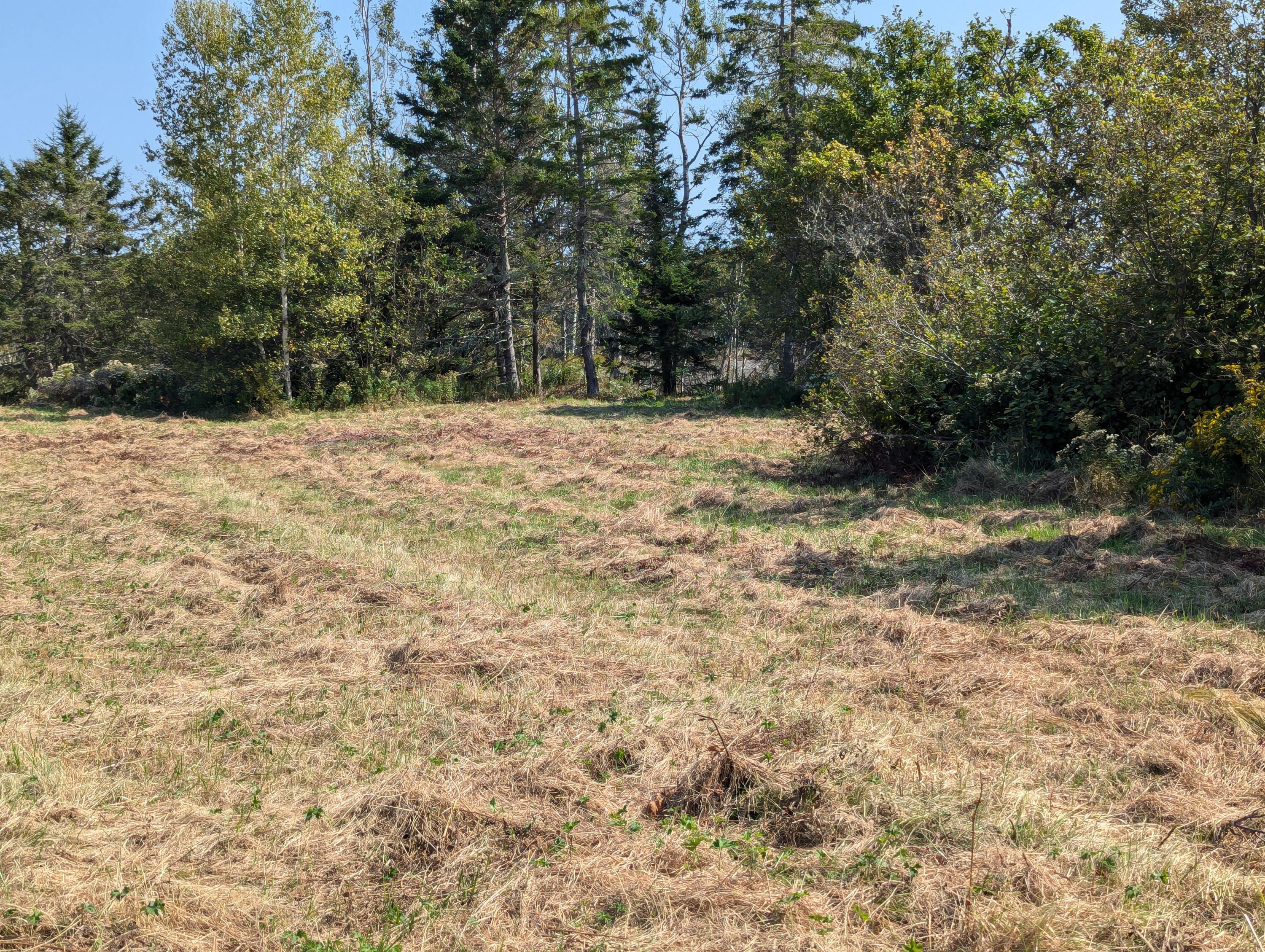 2 3 4 Birch Point Road Perry, ME 04667 - Photo 27 of 34 PXL_20240915_170513037