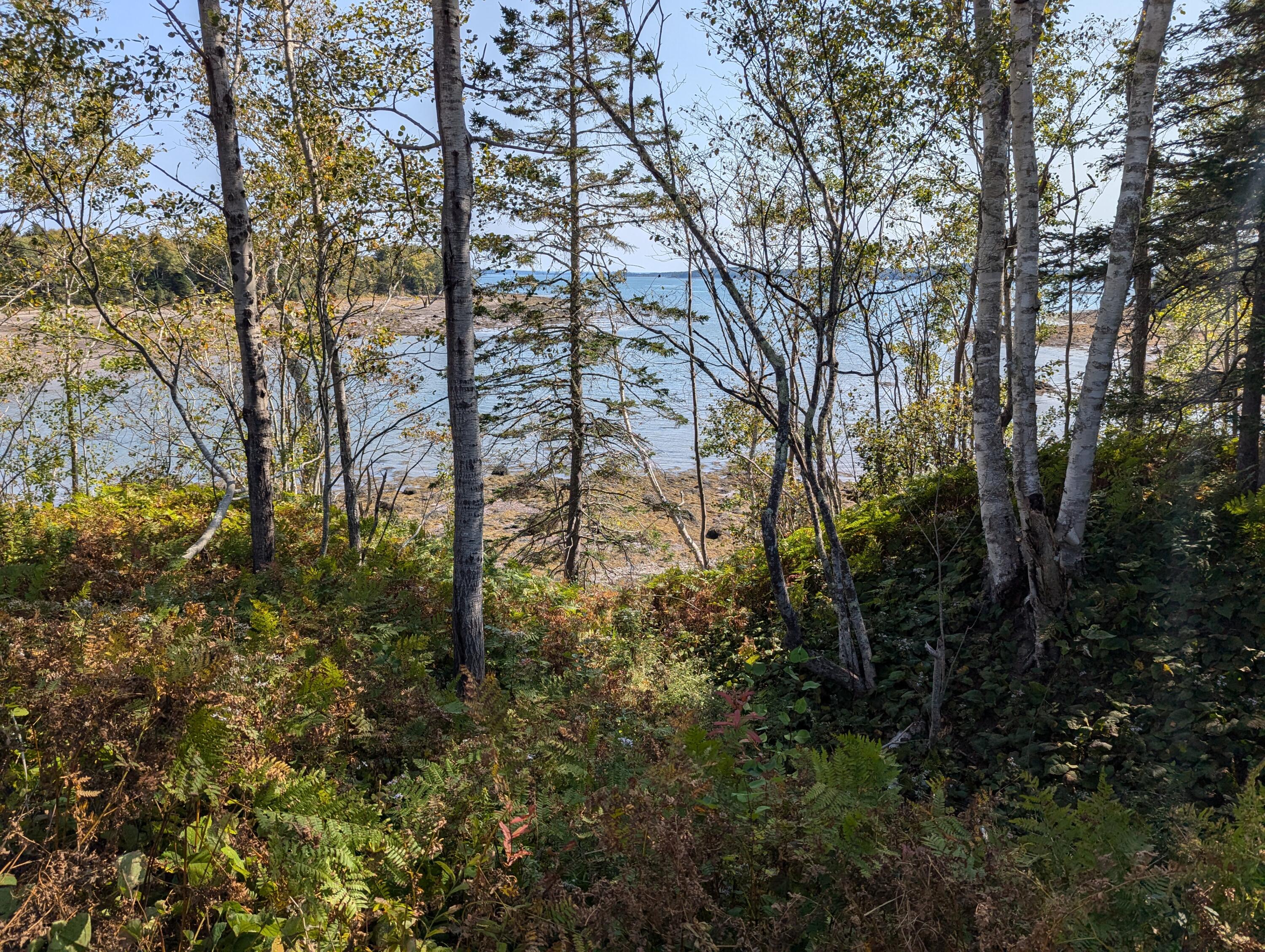 2 3 4 Birch Point Road Perry, ME 04667 - Photo 3 of 26 PXL_20240915_171721372