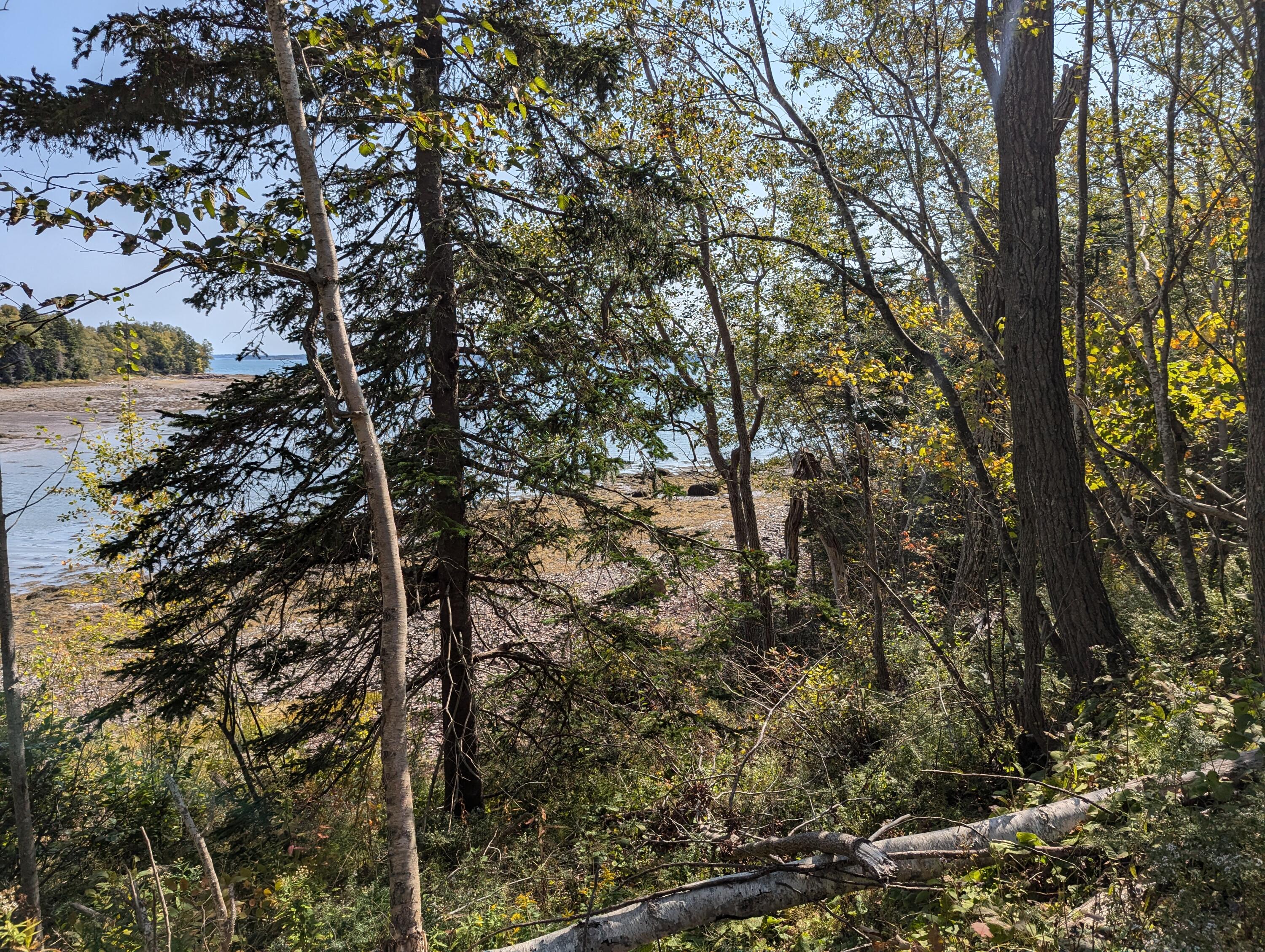 2 3 4 Birch Point Road Perry, ME 04667 - Photo 4 of 26 PXL_20240915_171307749