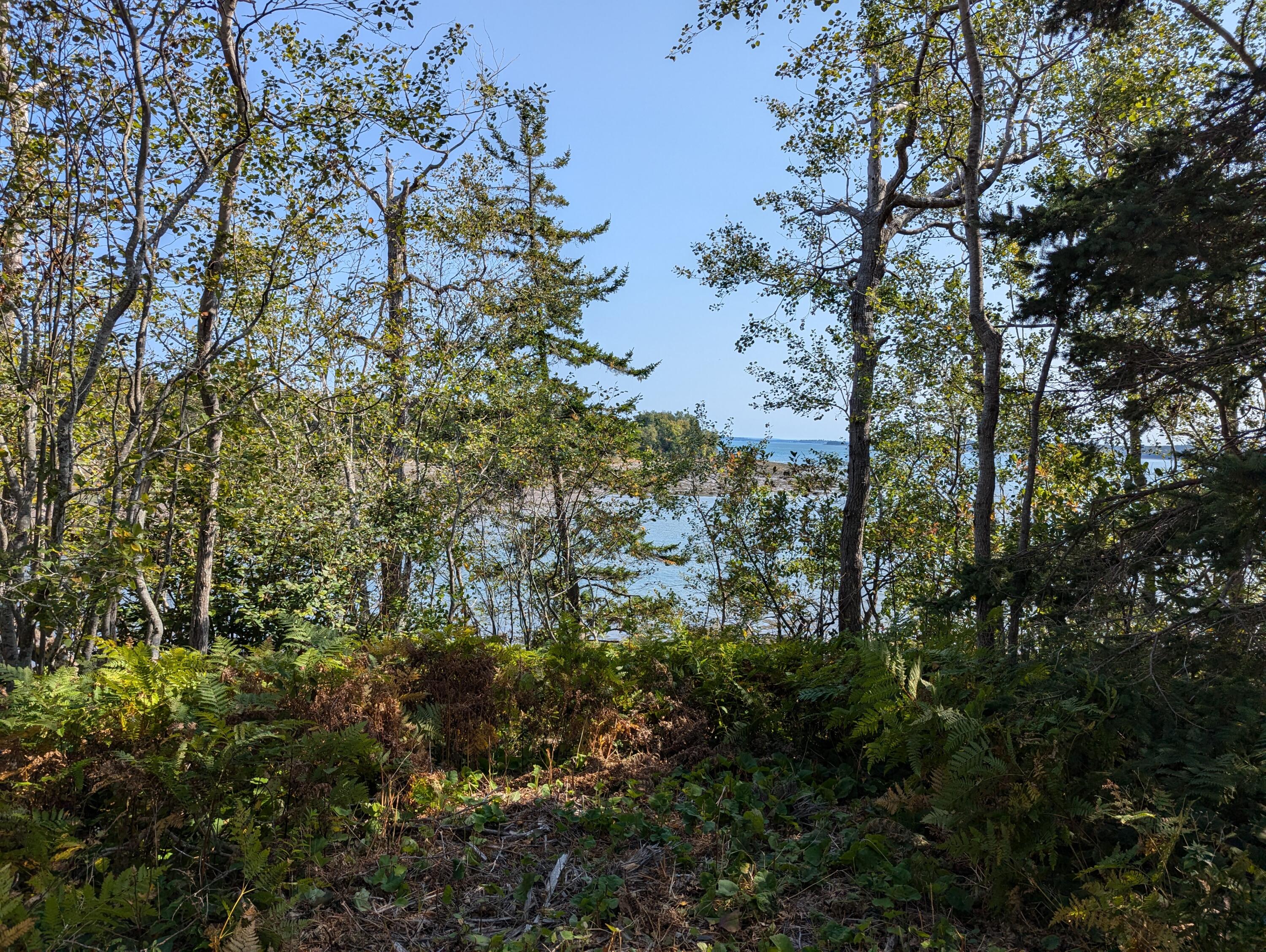 2 3 4 Birch Point Road Perry, ME 04667 - Photo 5 of 26 PXL_20240915_171613784