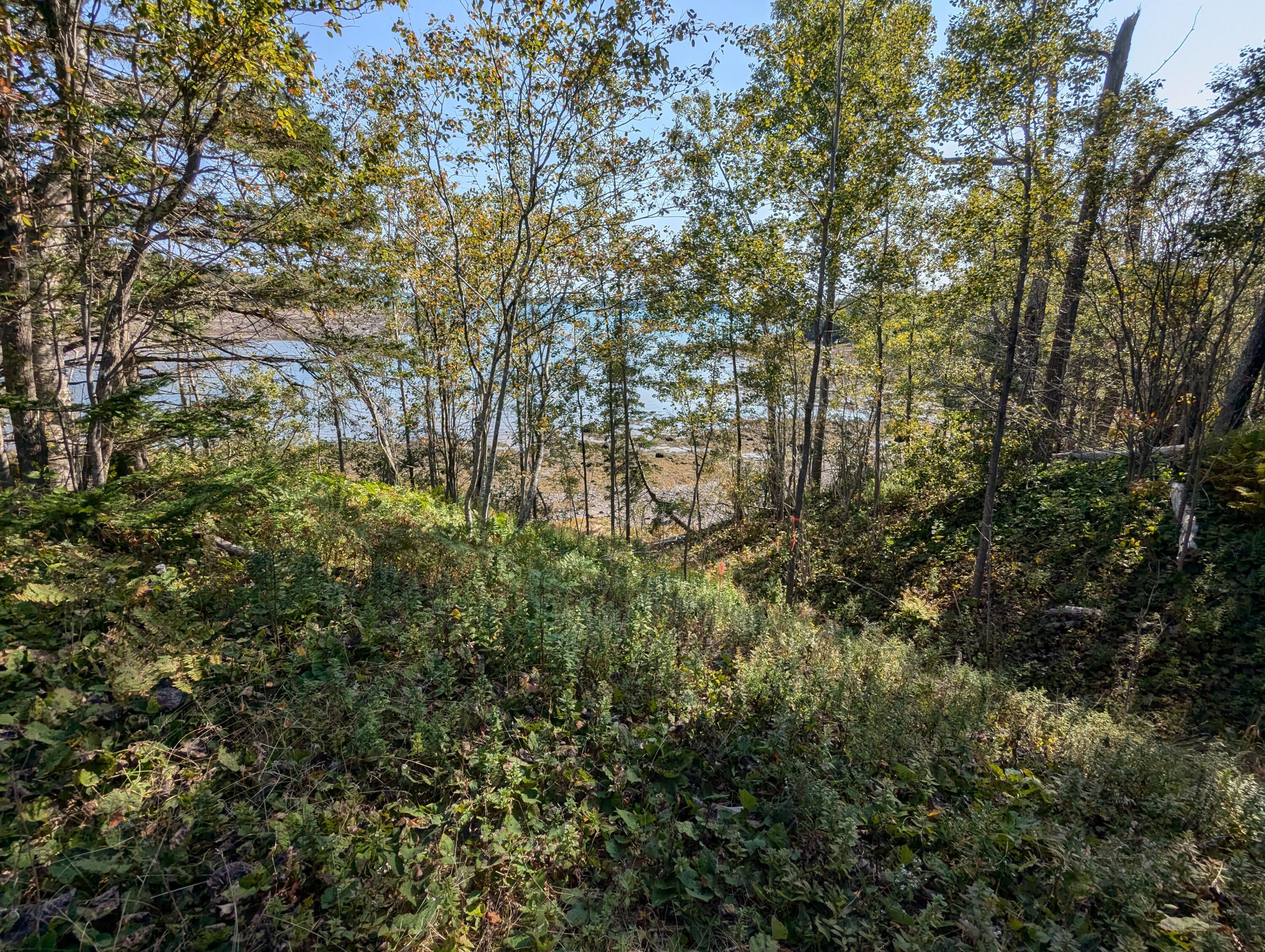 2 3 4 Birch Point Road Perry, ME 04667 - Photo 7 of 26 PXL_20240915_172355933