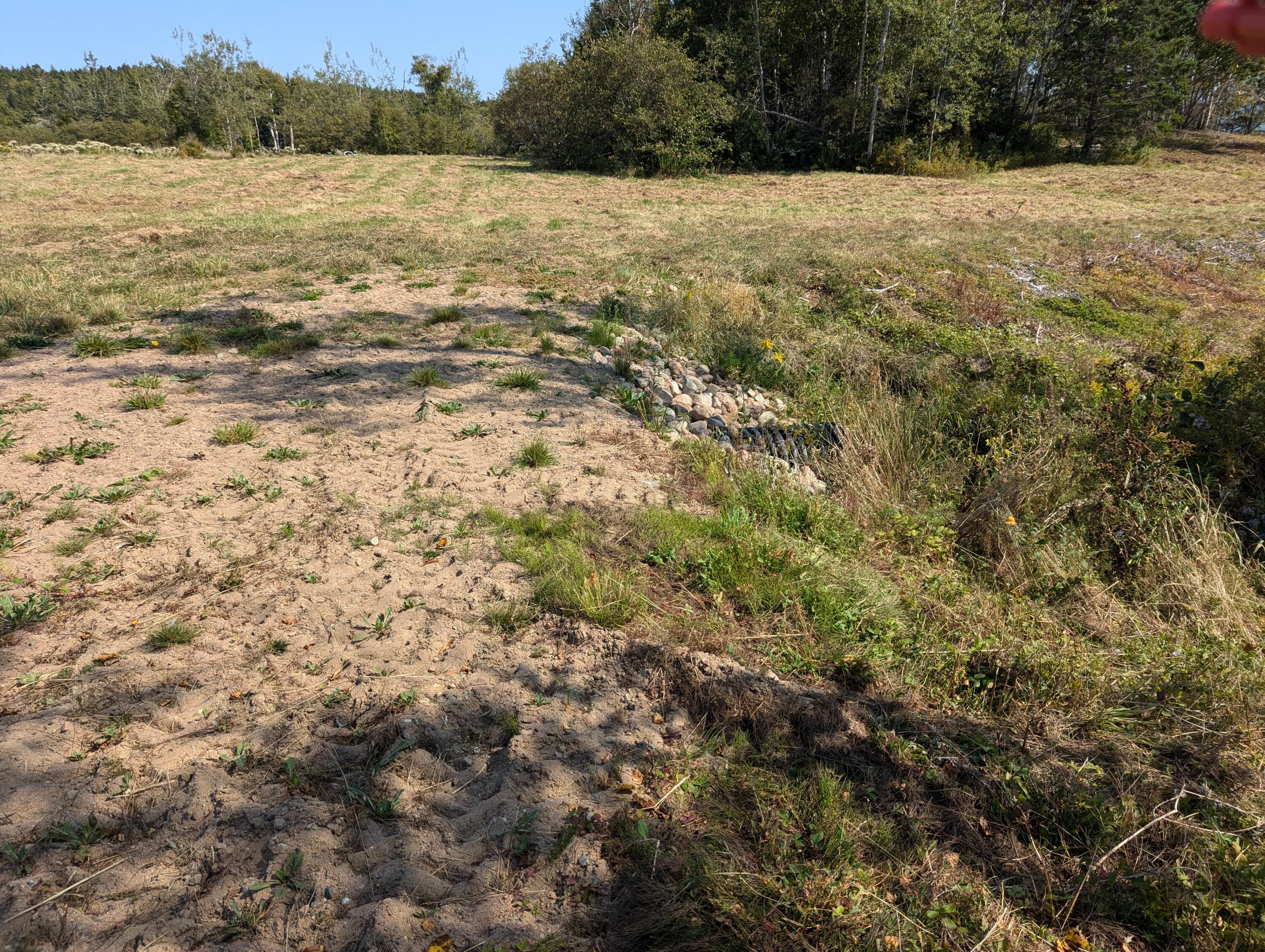 2 3 4 Birch Point Road Perry, ME 04667 - Photo 8 of 26 PXL_20240915_170118076