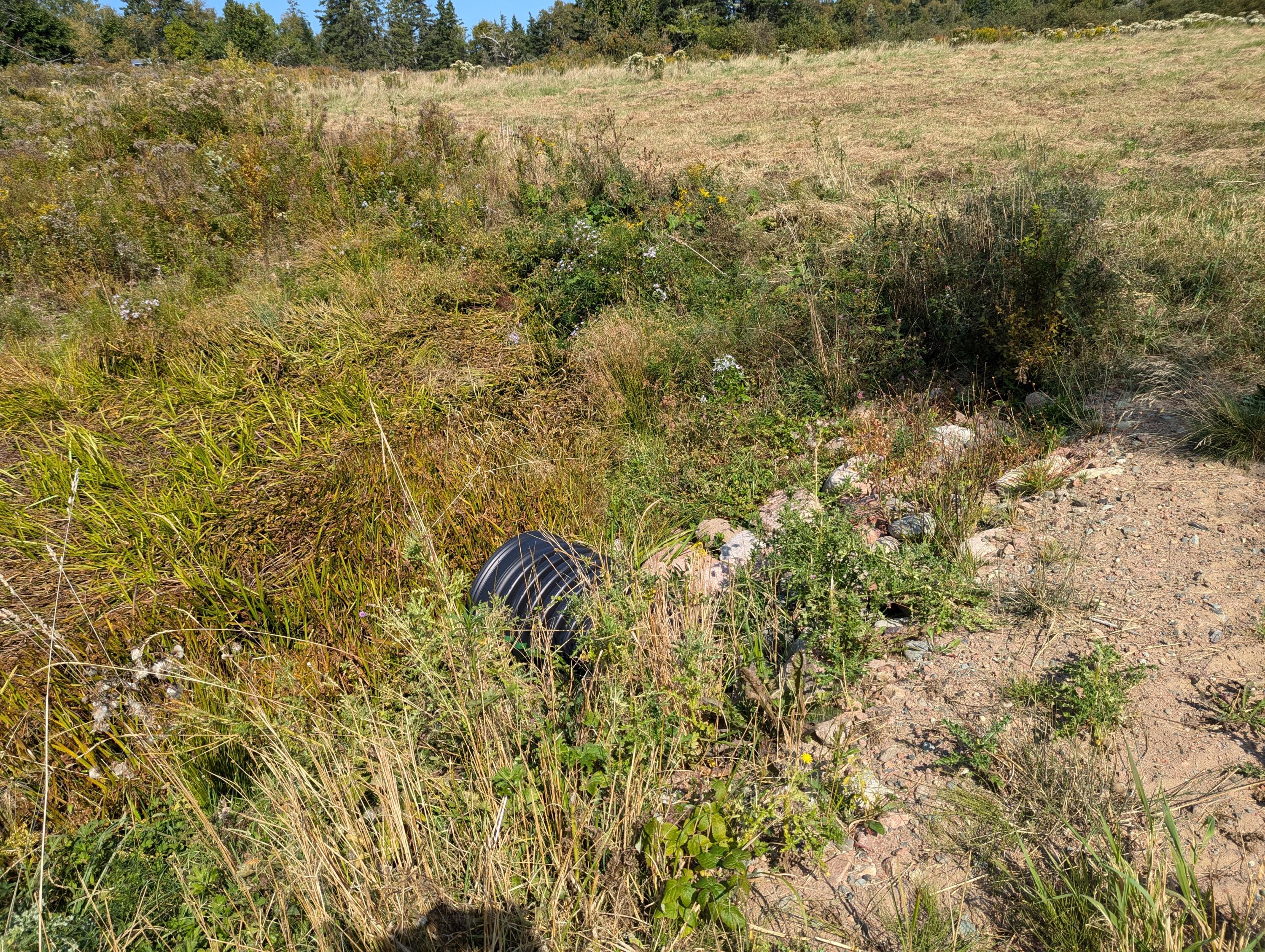 2 3 4 Birch Point Road Perry, ME 04667 - Photo 9 of 26 PXL_20240915_170134667