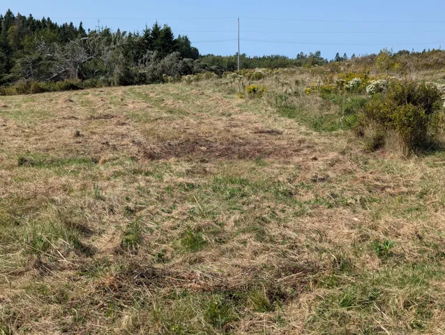 $225,000 | 2 3 4 Birch Point Road, Perry, ME 04667