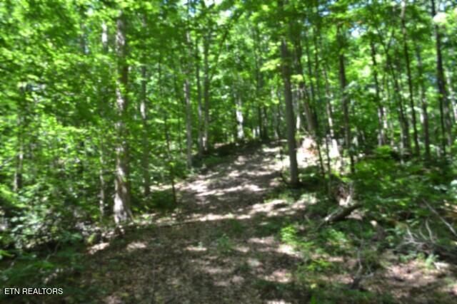 2390 Pea Ridge Fire Tower Road Celina, TN 38551 - Photo 37 of 58 DSC_0129