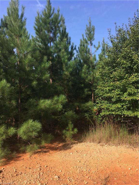 0 Ramseur Julian Road Staley, NC 27355 - Photo 2 of 9