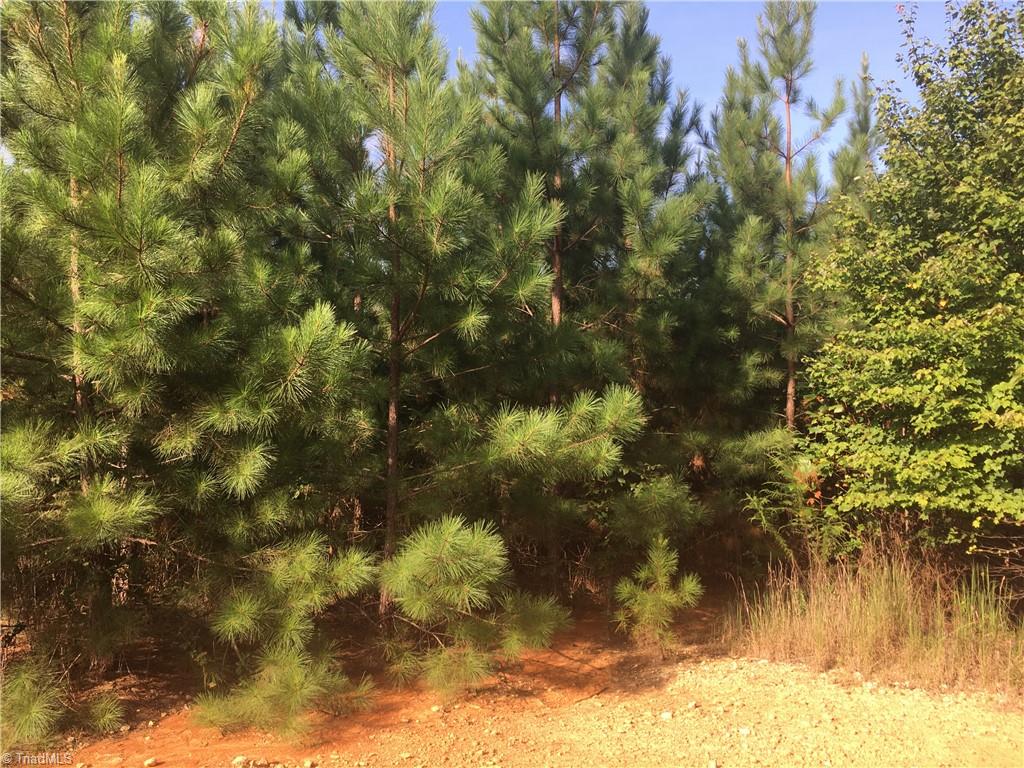 0 Ramseur Julian Road Staley, NC 27355 - Photo 3 of 9