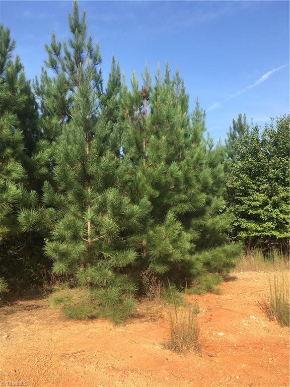 0 Ramseur Julian Road Staley, NC 27355 - Photo 4 of 9