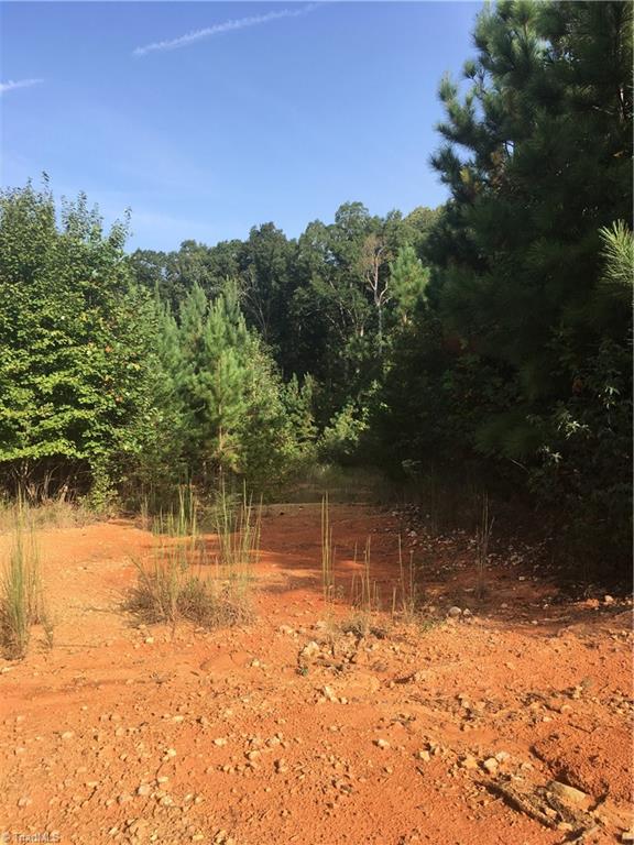 0 Ramseur Julian Road Staley, NC 27355 - Photo 5 of 9