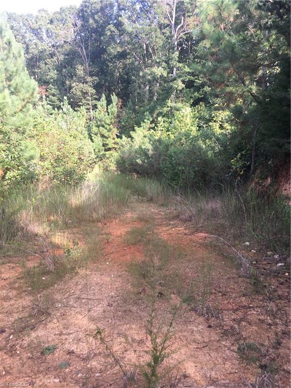 0 Ramseur Julian Road Staley, NC 27355 - Photo 7 of 9