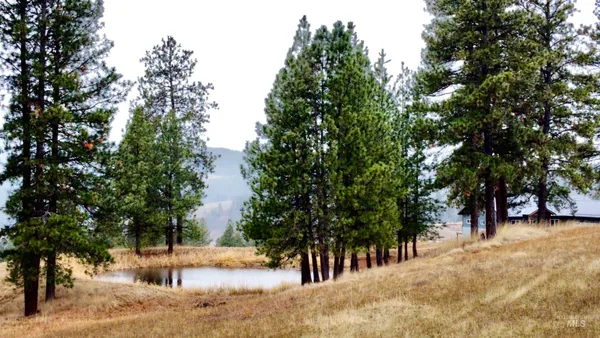 $165,000 | Tbd Tukta Way Lane, Princeton, ID 83857