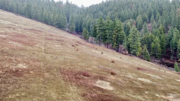 $165,000 | Tbd Tukta Way Lane, Princeton, ID 83857