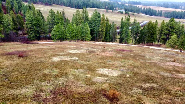 $165,000 | Tbd Tukta Way Lane, Princeton, ID 83857