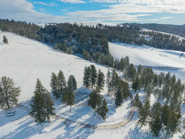$165,000 | Tbd Tukta Way Lane, Princeton, ID 83857