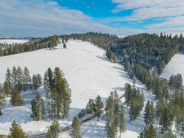 $165,000 | Tbd Tukta Way Lane, Princeton, ID 83857
