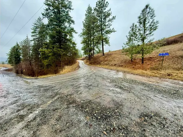 $165,000 | Tbd Tukta Way Lane, Princeton, ID 83857
