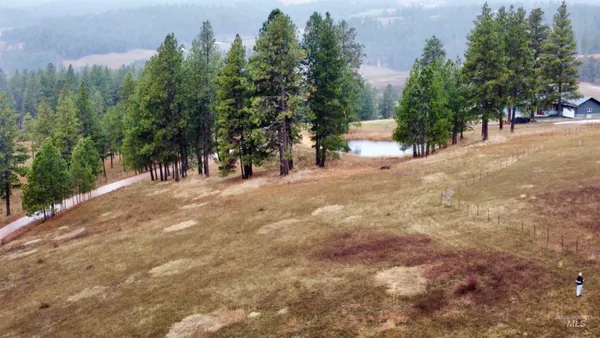 $165,000 | Tbd Tukta Way Lane, Princeton, ID 83857