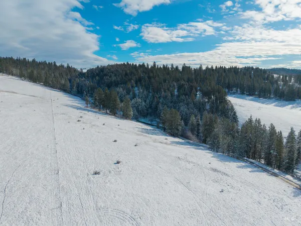 $165,000 | Tbd Tukta Way Lane, Princeton, ID 83857