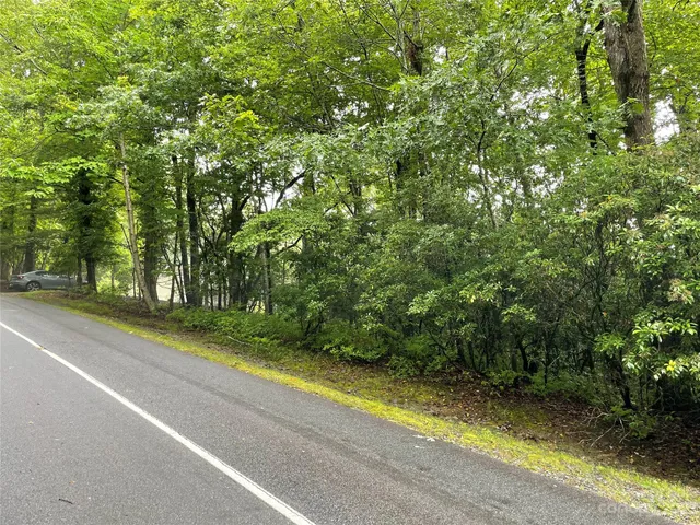 $25,000 | Tbd Tellico Trail, Unit 116/01, Brevard, NC 28712