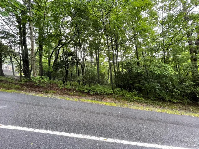 $25,000 | Tbd Tellico Trail, Unit 116/01, Brevard, NC 28712