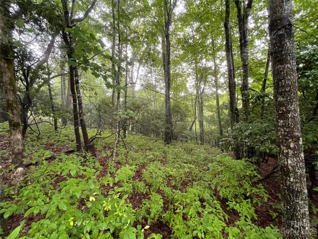 $25,000 | Tbd Tellico Trail, Unit 116/01, Brevard, NC 28712