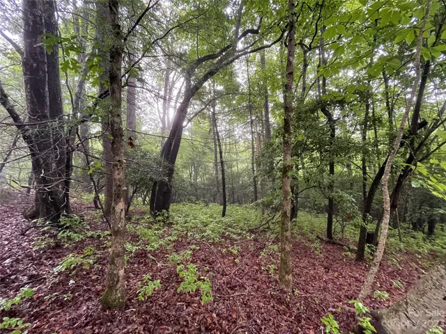 $25,000 | Tbd Tellico Trail, Unit 116/01, Brevard, NC 28712