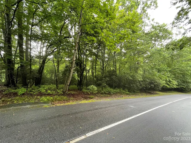 $25,000 | Tbd Tellico Trail, Unit 116/01, Brevard, NC 28712