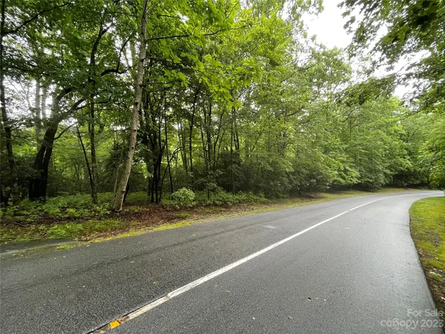 $25,000 | Tbd Tellico Trail, Unit 116/01, Brevard, NC 28712