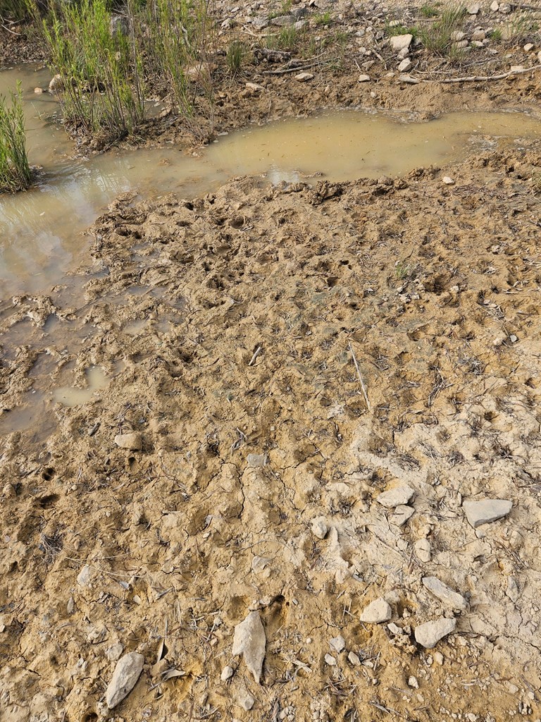 0 J S Murry Ranch Road Del Rio, TX 78840 - Photo 19 of 38