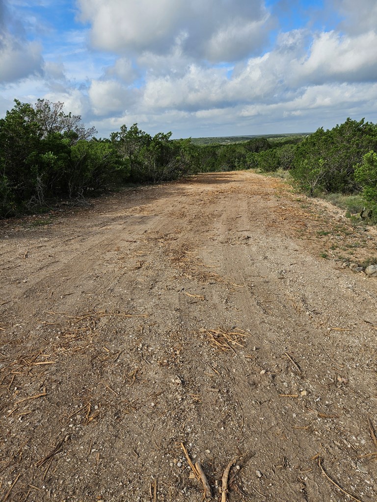 0 J S Murry Ranch Road Del Rio, TX 78840 - Photo 20 of 38 a view of a lake with beach and large trees