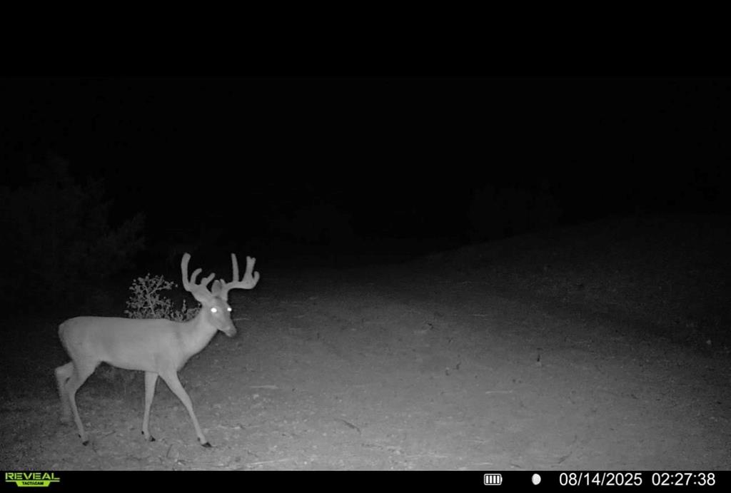 0 J S Murry Ranch Road Del Rio, TX 78840 - Photo 2 of 38 a view of table and chair in wooden floor