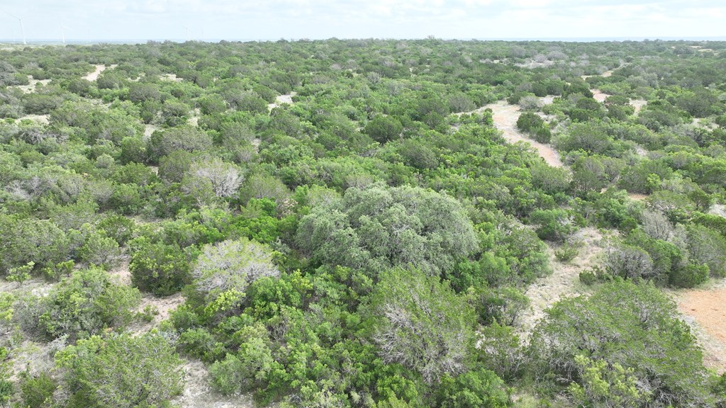 0 J S Murry Ranch Road Del Rio, TX 78840 - Photo 23 of 38 a view of a city with lush green forest