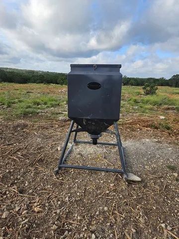 a view of a big yard with plants and large trees