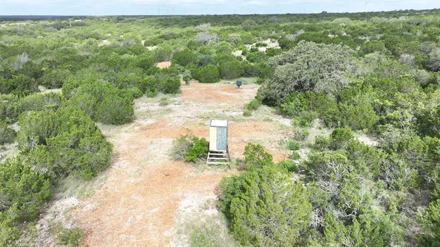 a view of a forest with a street