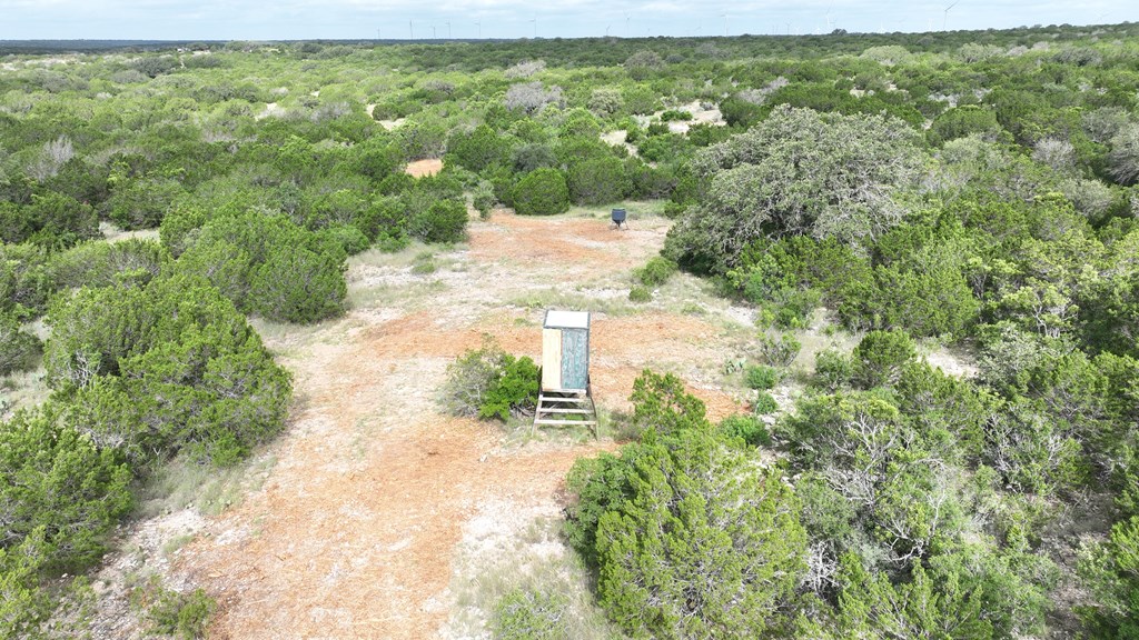 0 J S Murry Ranch Road Del Rio, TX 78840 - Photo 30 of 38 a view of a yard with plants