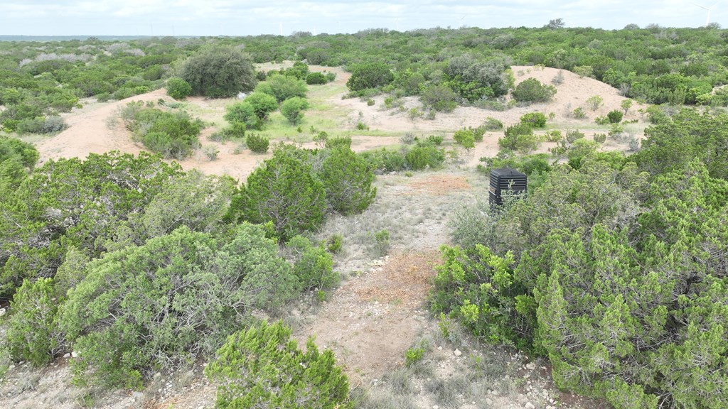 0 J S Murry Ranch Road Del Rio, TX 78840 - Photo 31 of 38 a view of a forest with a street