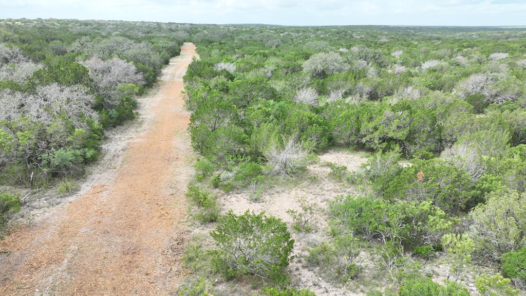 0 J S Murry Ranch Road Del Rio, TX 78840 - Photo 32 of 38 a view of a forest with a lake
