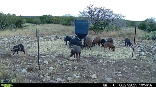 a view of a lake with beach and lake view