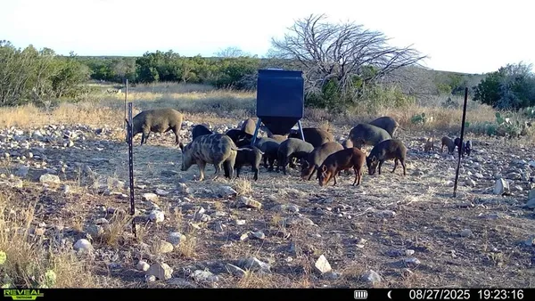 $254,800 | 0 J S Murry Ranch Road, Del Rio, TX 78840