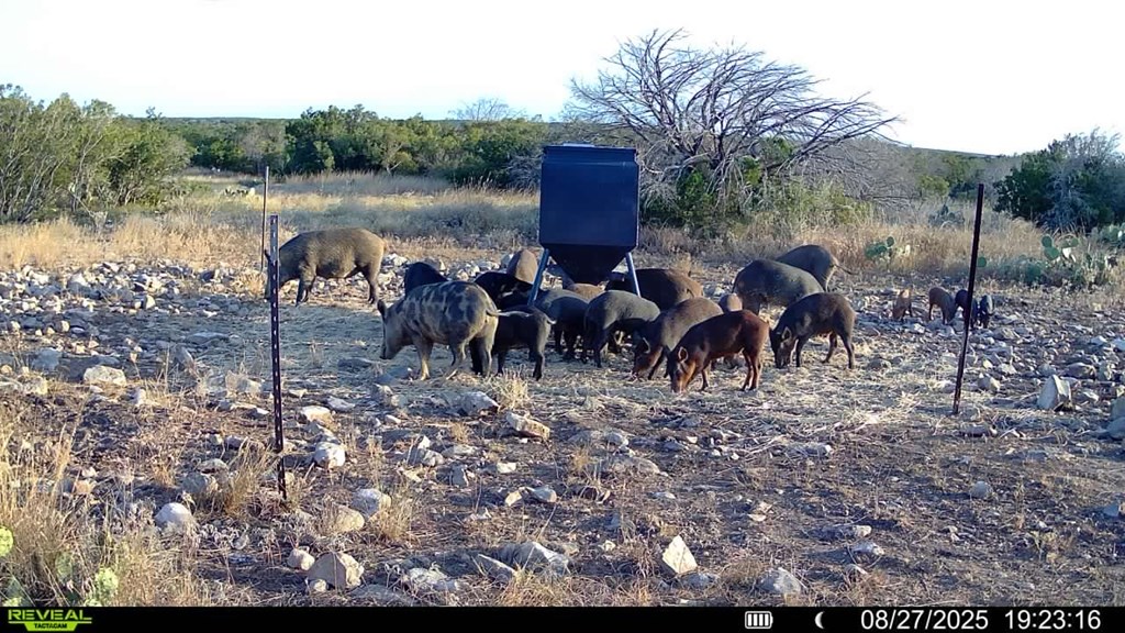 0 J S Murry Ranch Road Del Rio, TX 78840 - Photo 38 of 38 a backyard of a house with lots of green space