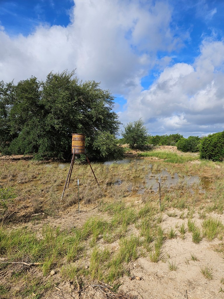 0 J S Murry Ranch Road Del Rio, TX 78840 - Photo 7 of 38 a view of a yard