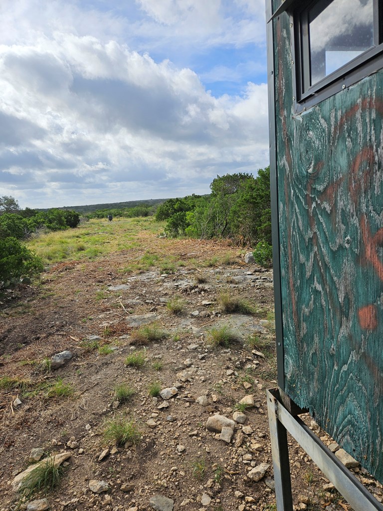 0 J S Murry Ranch Road Del Rio, TX 78840 - Photo 9 of 38 a view of a yard