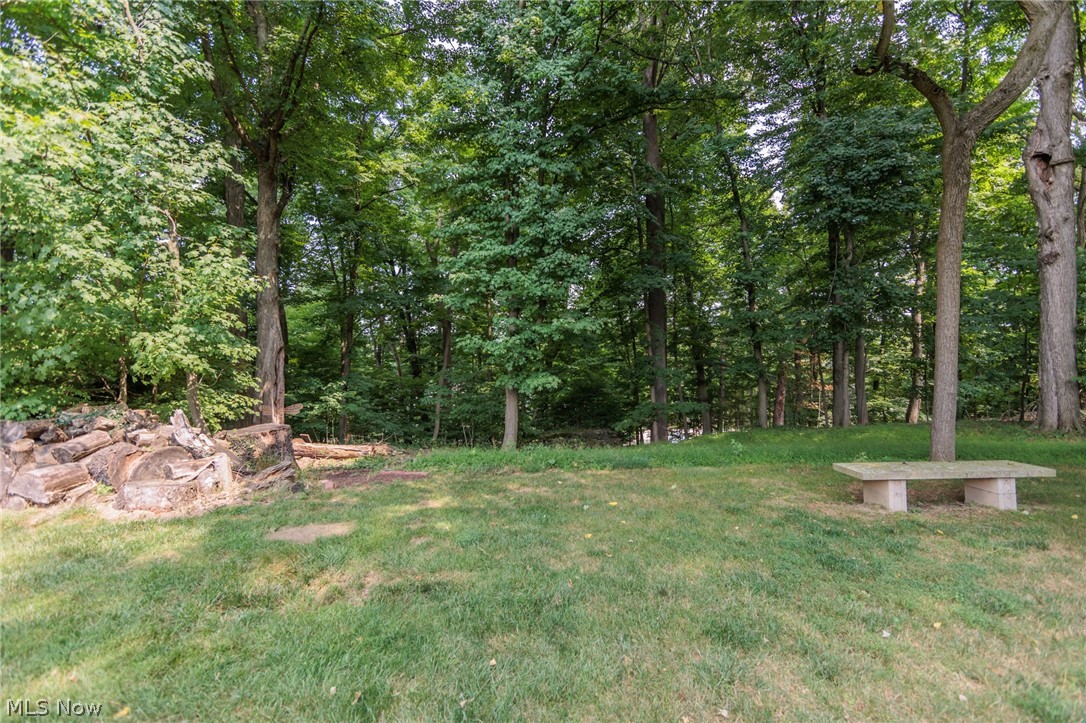 425 Bittersweet Road Akron, OH 44333 - Photo 43 of 50 View of yard
