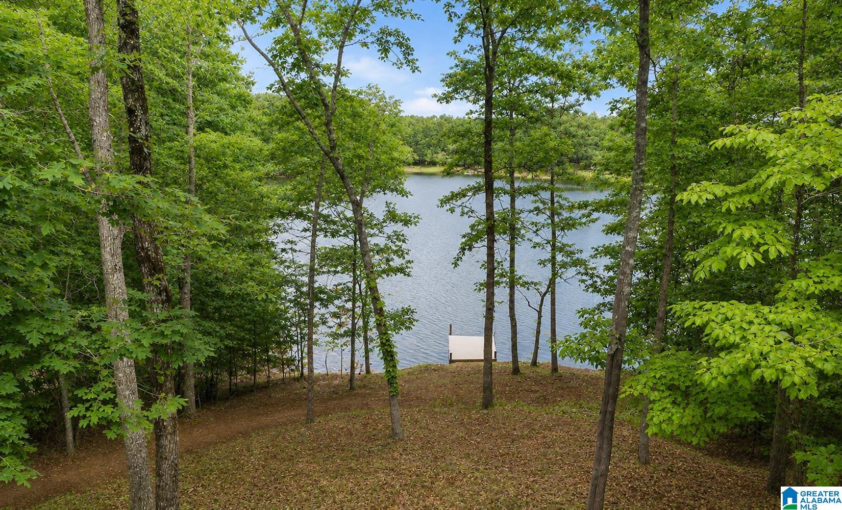 1775 Broken Arrow Creek Road Riverside, AL 35135 - Photo 24 of 43