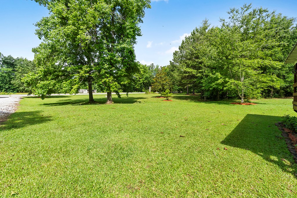 9423 Highway 246 Saluda, SC 29138 - Photo 20 of 20