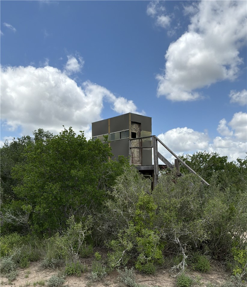 0 Private Road San Diego, TX 78384 - Photo 3 of 9