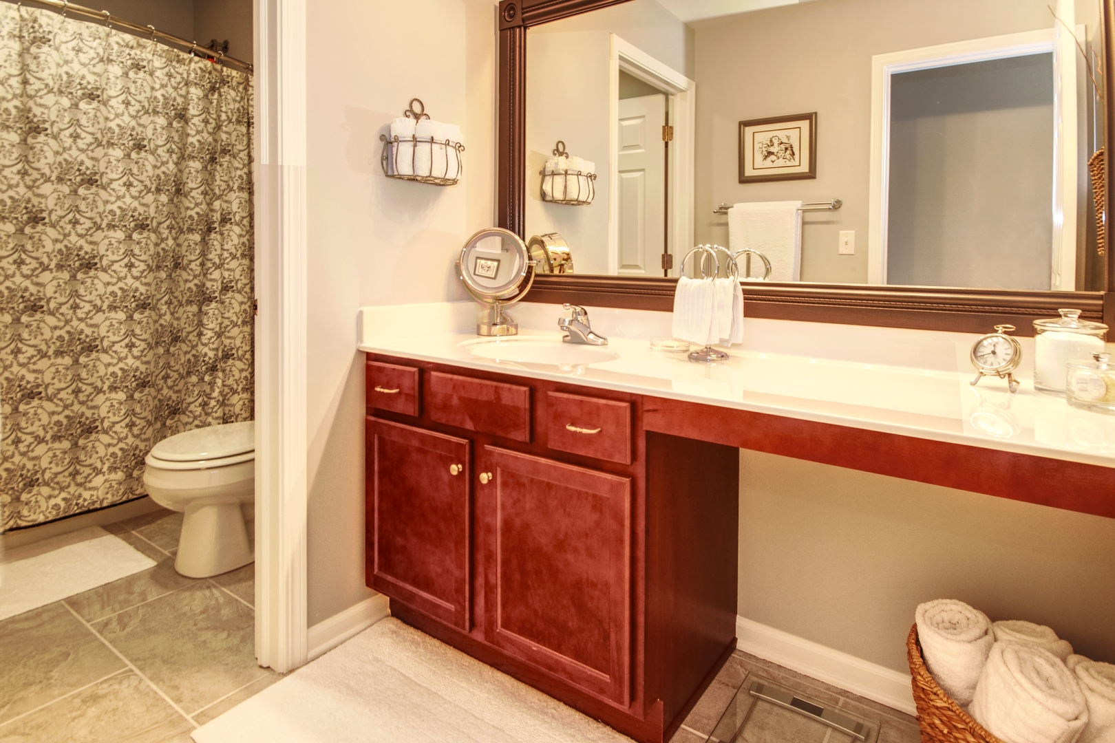 25758 South Basswood Road Channahon, IL 60410 - Photo 24 of 28 a bathroom with a sink and a mirror