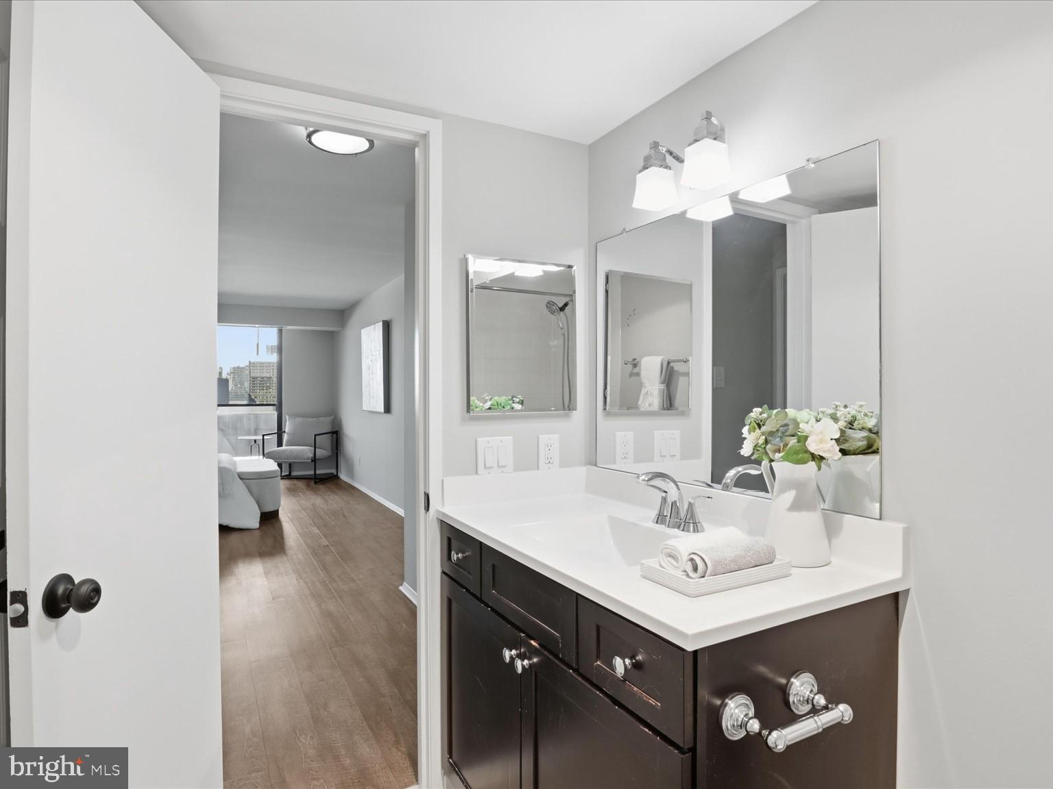 1800 Old Meadow Road, Unit 1017 McLean, VA 22102 - Photo 15 of 31 a bathroom with a sink a light fixture and a mirror