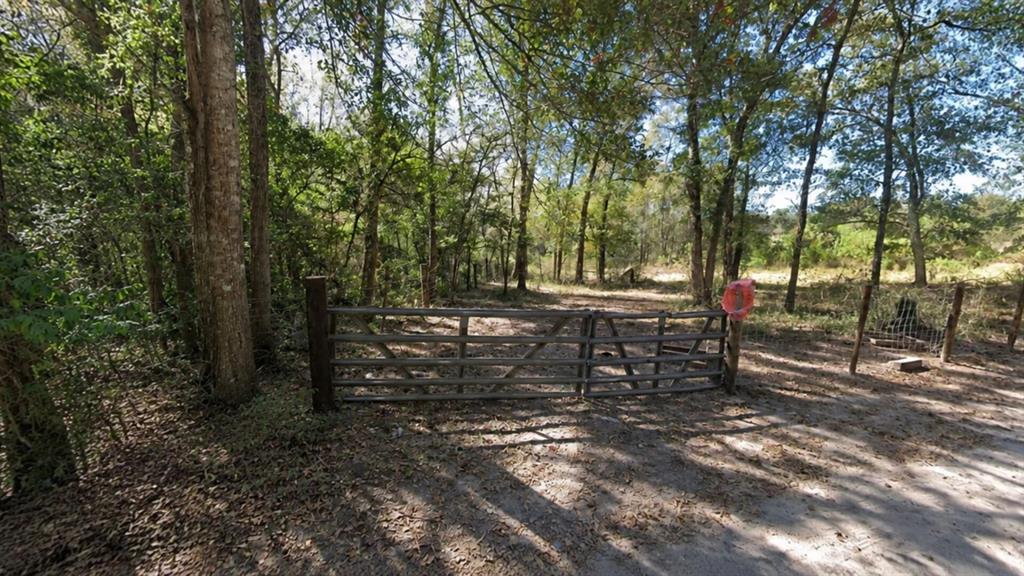 Lot 7 Dryden Street Trinity, TX 75862 - Photo 4 of 6 a view of outdoor space with trees
