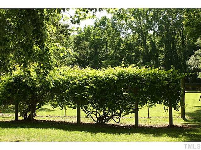 519 Watson Road Selma, NC 27576 - Photo 20 of 24 Photo 20